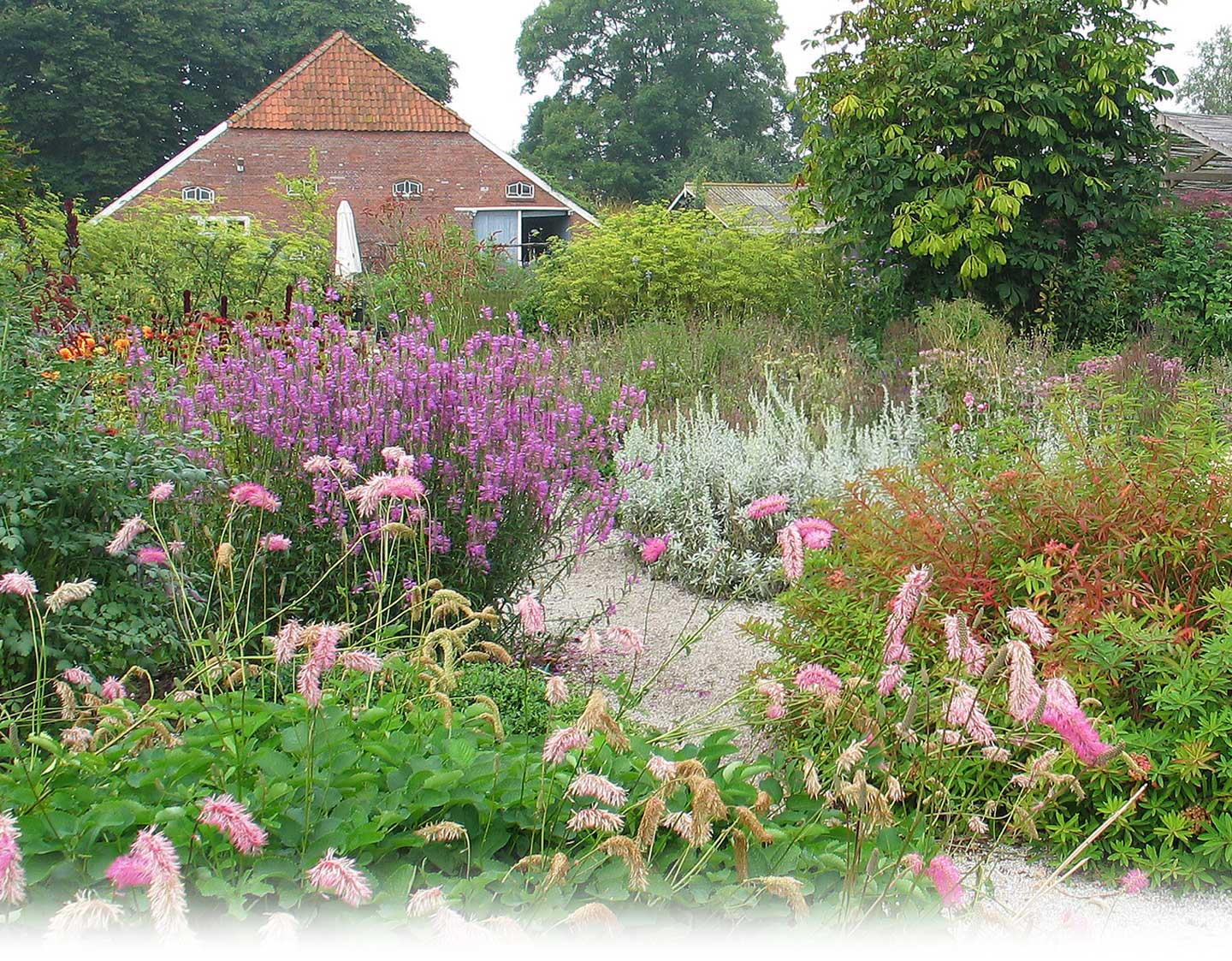 Inspiration for plant lovers
