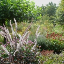 Open Planten Zondag 1 oktober